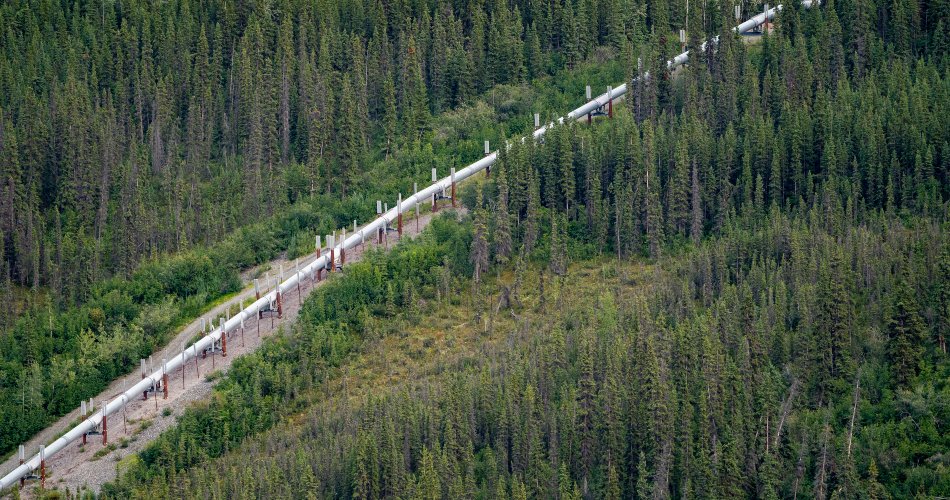 Pipeline integrity management
