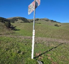 APEX Above Ground Marker in the Field