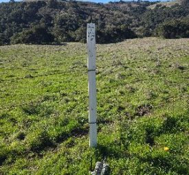 APEX Above Ground Marker - pig-tracking solution